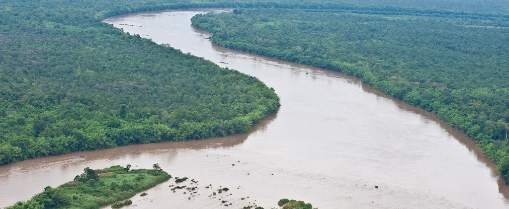 The Mekong River winding through the flooded forest in Cambodia.