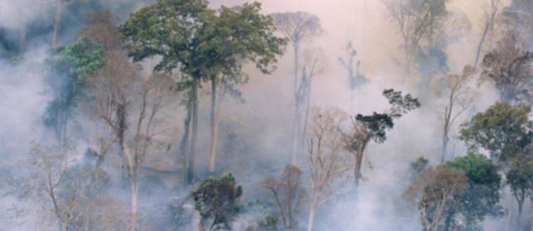 The forest burns near Prey Lang, Cambodia in this undated handout photo.