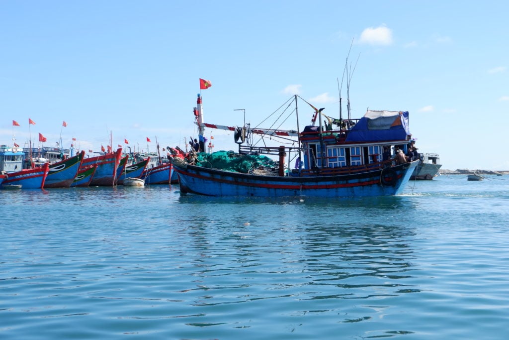 Viet Nam juvenile pair