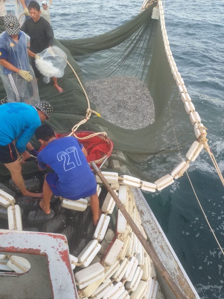 Great Capacity Fishing Boat with Large Fish Tanks - China Fishing