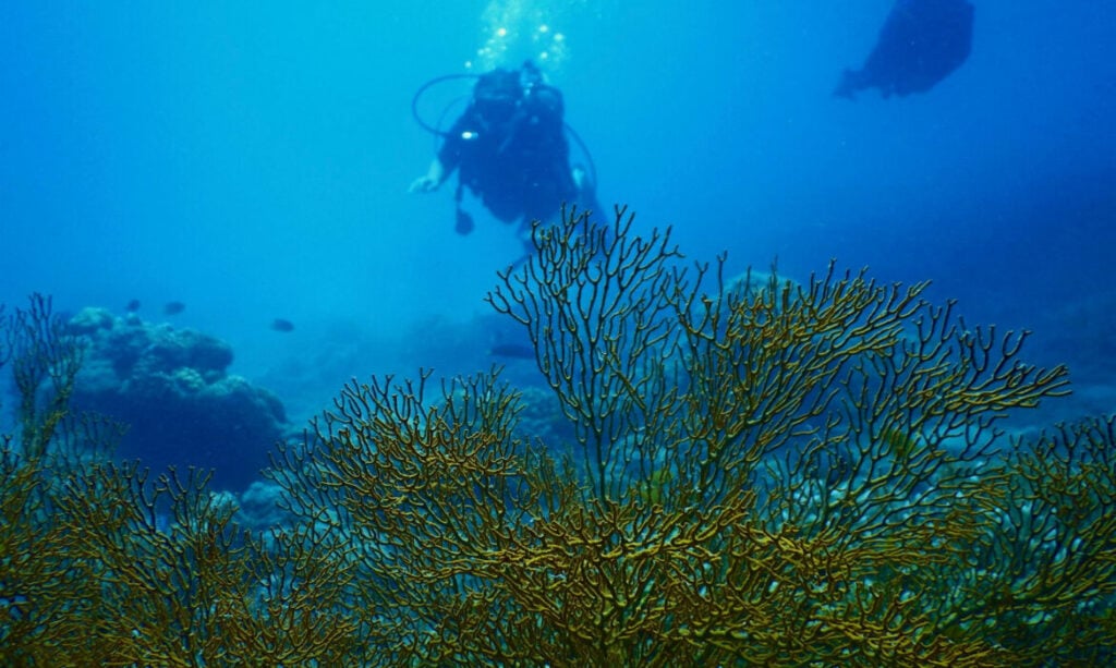 Vietnam's desolate seabed