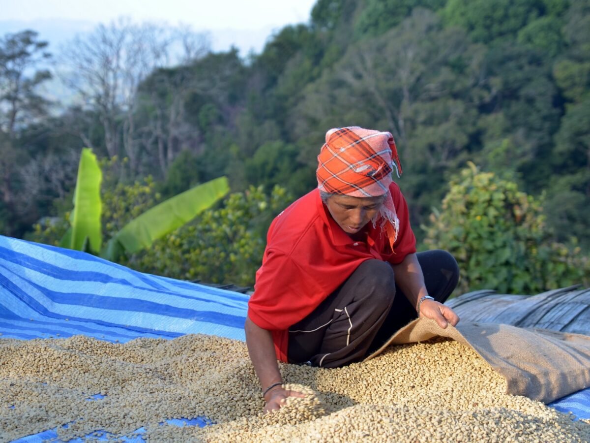 Go slower: Before the carbon market rushes through, develop clear local governance