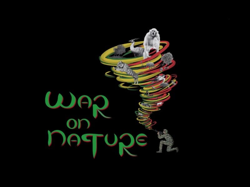 Myanmar’s war on nature