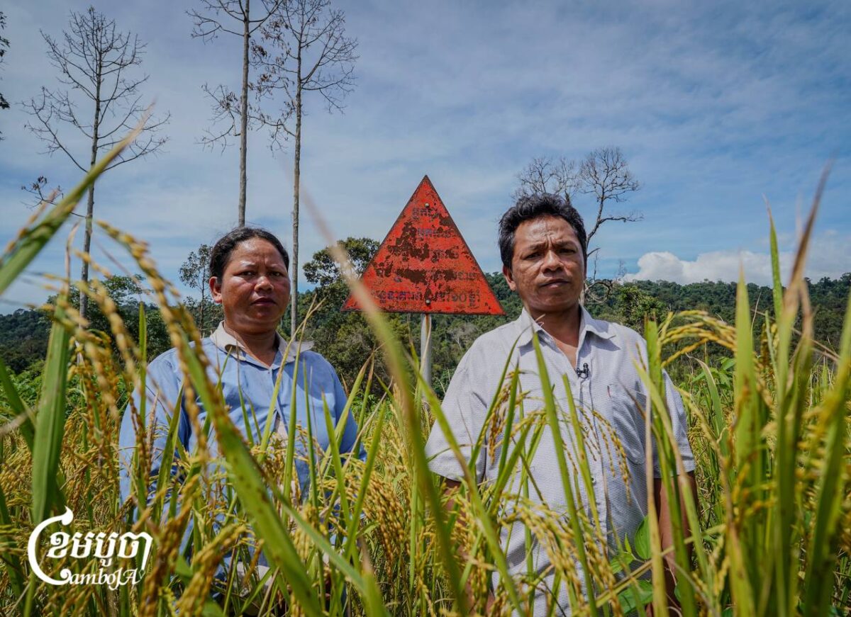 carbon credit