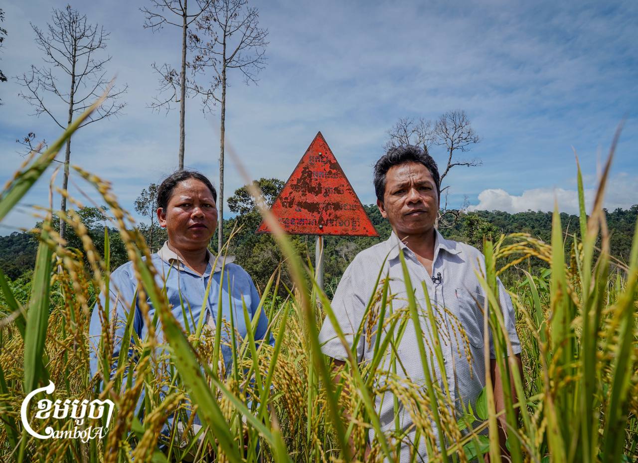 carbon credit